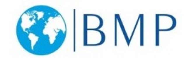 BMP LLC